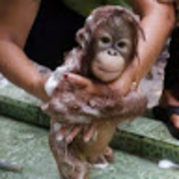 Meet your Posher, Mark - Picture 1 of 1